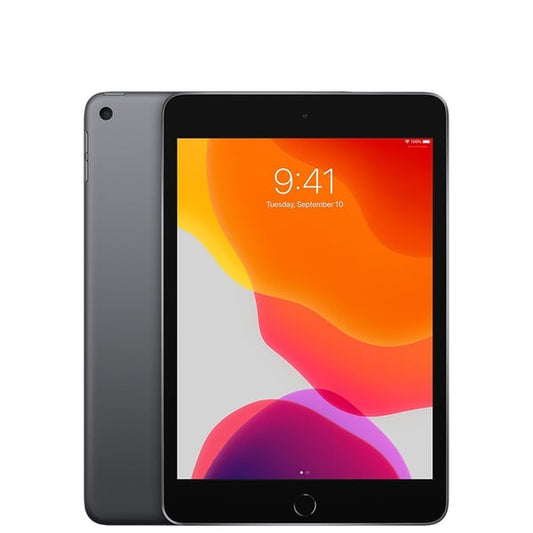 iPad Mini 5 256GB Space Gray WIFI